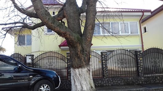 AF1QipM8cZcT7WdLfEUtxb69y6nhx6Ibtl2iV5mZJSRhw529-h298-k-no