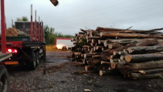 AF1QipMRlrpEkpgsE7QZ2wNTGaovNyr4g2ISr8Cg3qbsw529-h298-k-no