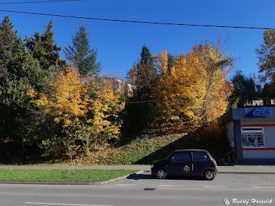 AF1QipNvg6DX-7mgQ5rFrJqiWN0maGMyOKJ3P0m-D6OZw397-h298-k-no