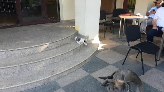 AF1QipO6-swEedM95GY-KewVx0coW0SExNnudBCJAgMcw529-h298-k-no