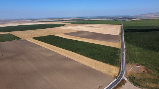 AF1QipOy984HP_73B36GS-r0x6fprOO9PaMVClUTX016w529-h298-k-no