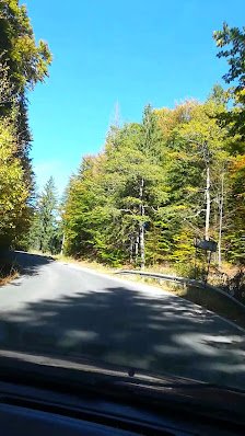 AF1QipP9I8glEivbF0mdCCj9Ntvf7OGLcnsiRkK6-Xfnw224-h398-k-no