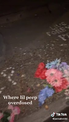 AF1QipPQAnz6L_U_Z6FFa3H4LzS3gLtAzhi_TUs3tmKxw224-h398-k-no